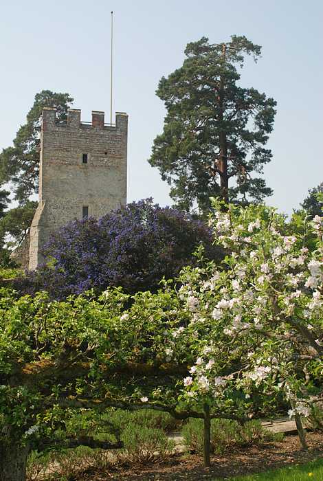  Walled gardens at Greys Court, Henley-on-Thames